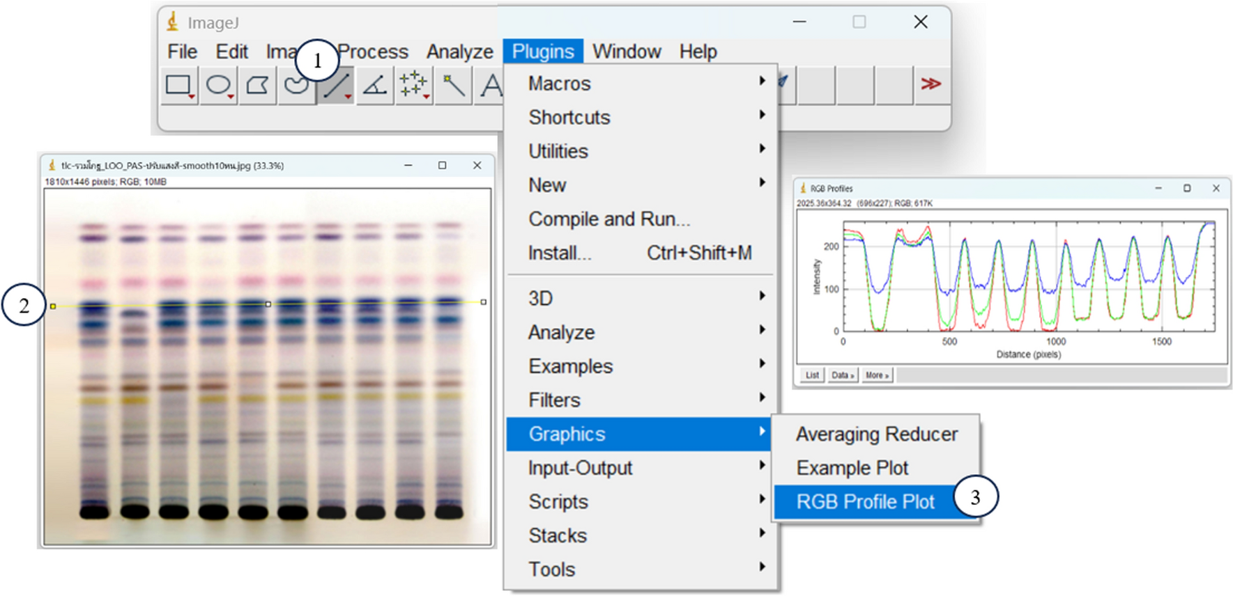 Thin-layer chromatography image analysis with leave-1-out method and cross-sectional study for quality assessment of a polyherbal preparation ‘Phikud Navakot’