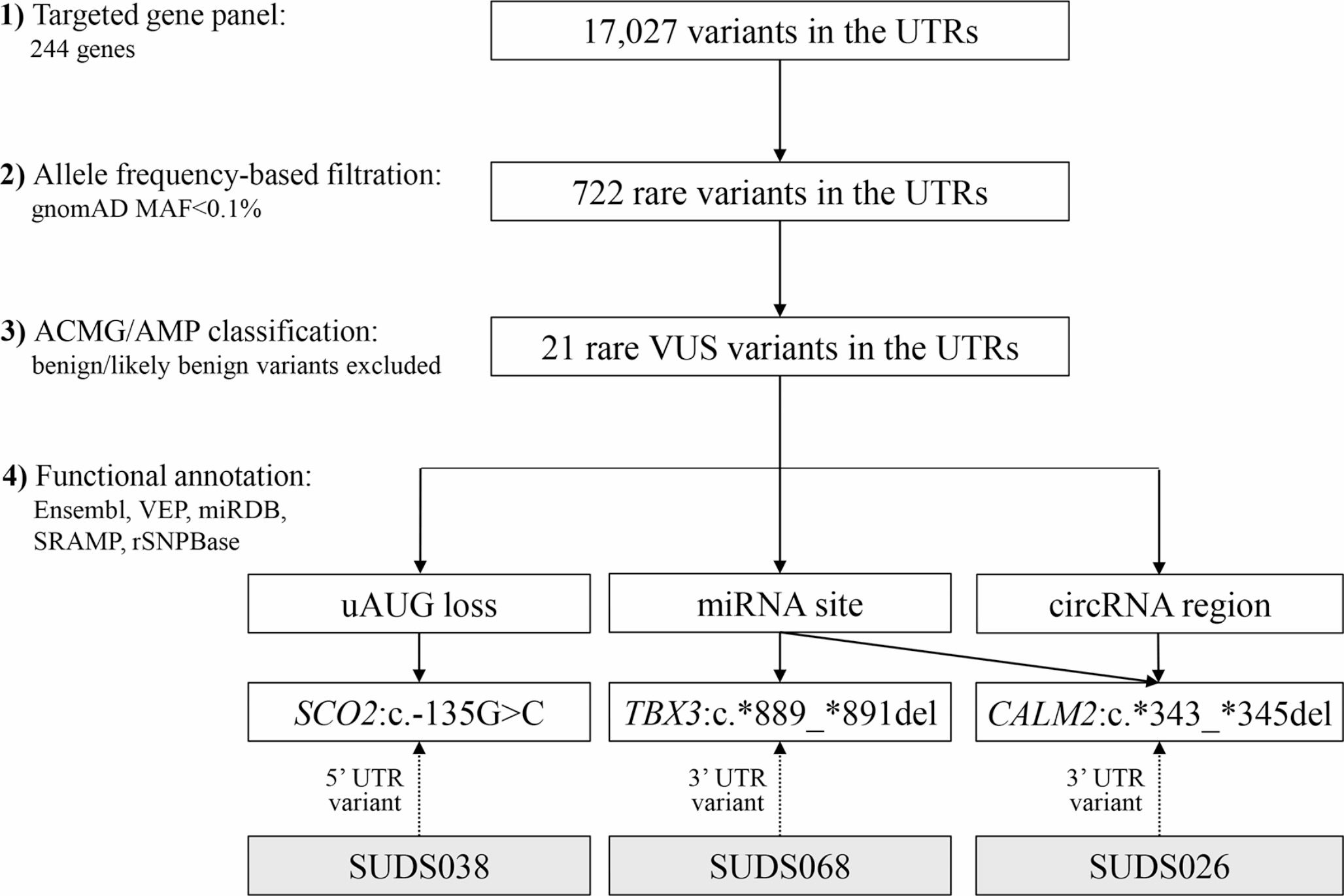 Interpretation of molecular autopsy findings in 45 sudden unexplained death cases: from coding region to untranslated region