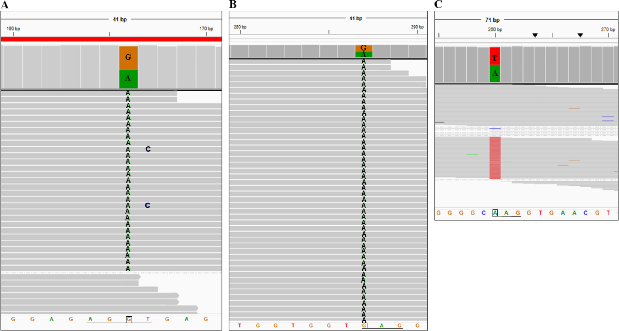 Alpha-Thalassemia Caused by ααIVSI-1(AGGT> AGAT) (HBA1: c.95 + 1G > A) Mutation and its Combinations with Other Forms of Thalassemia or Hemoglobinopathy in Northern Thailand