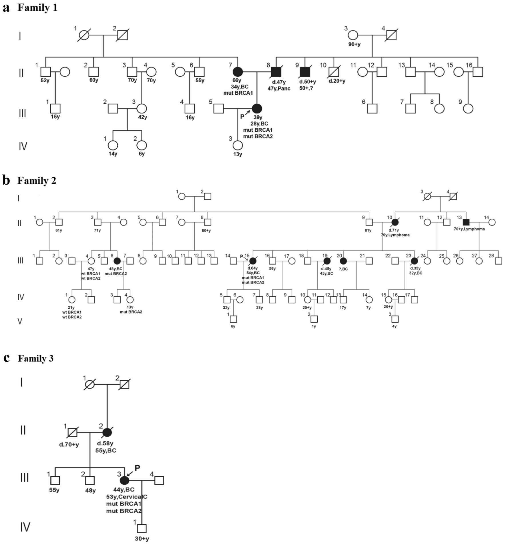 Characteristics of Chinese breast cancer patients with double heterozygosity for BRCA1 and BRCA2 germline pathogenic variants