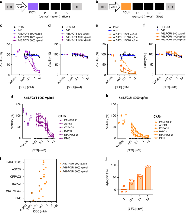 The αvβ6 integrin specific virotherapy, Ad5NULL-A20.FCU1, selectively delivers potent “in-tumour” chemotherapy to pancreatic ductal adenocarcinoma