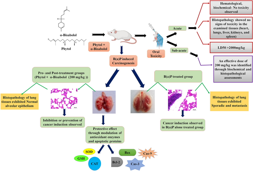 Oral toxicity assessment and the mitigation of lung carcinogenesis by phytol and α-bisabolol combination treatment in swiss albino mice: insights into redox enzyme modulation and caspase-dependent cell death mechanisms