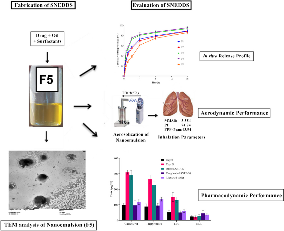 Self-nanoemulsifying drug delivery system for nebulization: fabrication and evaluation for systemic delivery of atorvastatin
