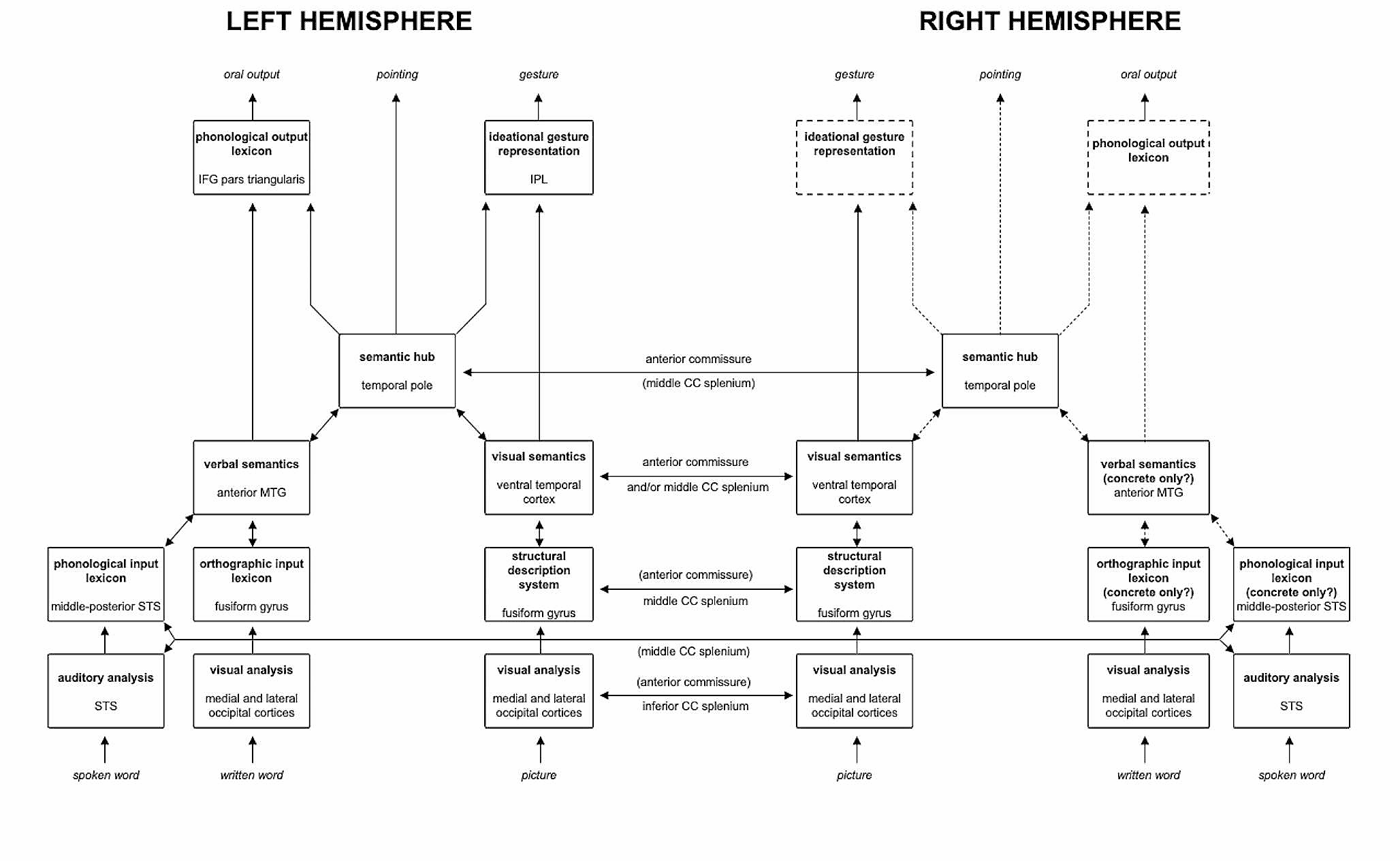 Clinical and structural disconnectome evaluation in a case of optic aphasia
