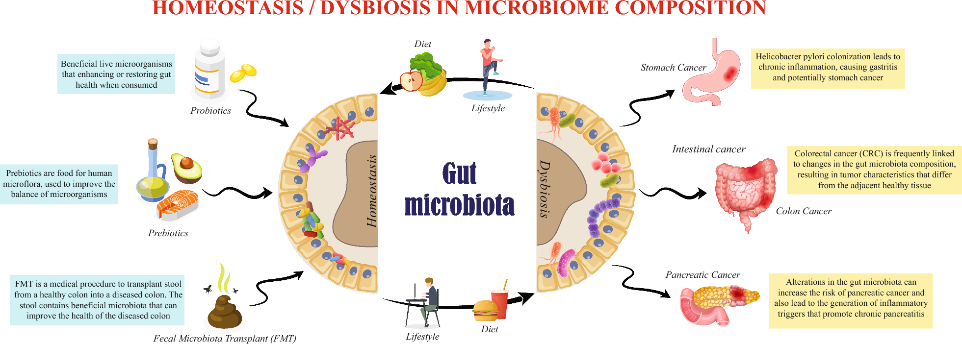 Gastrointestinal cancer resistance to treatment: the role of microbiota