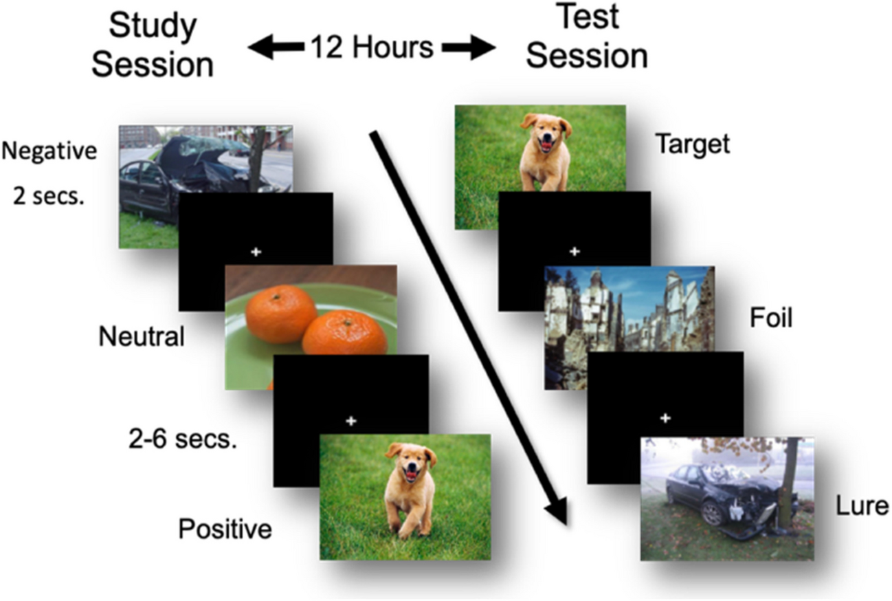 Nucleus reuniens: Modulating emotional overgeneralization in peri-adolescents with anxiety