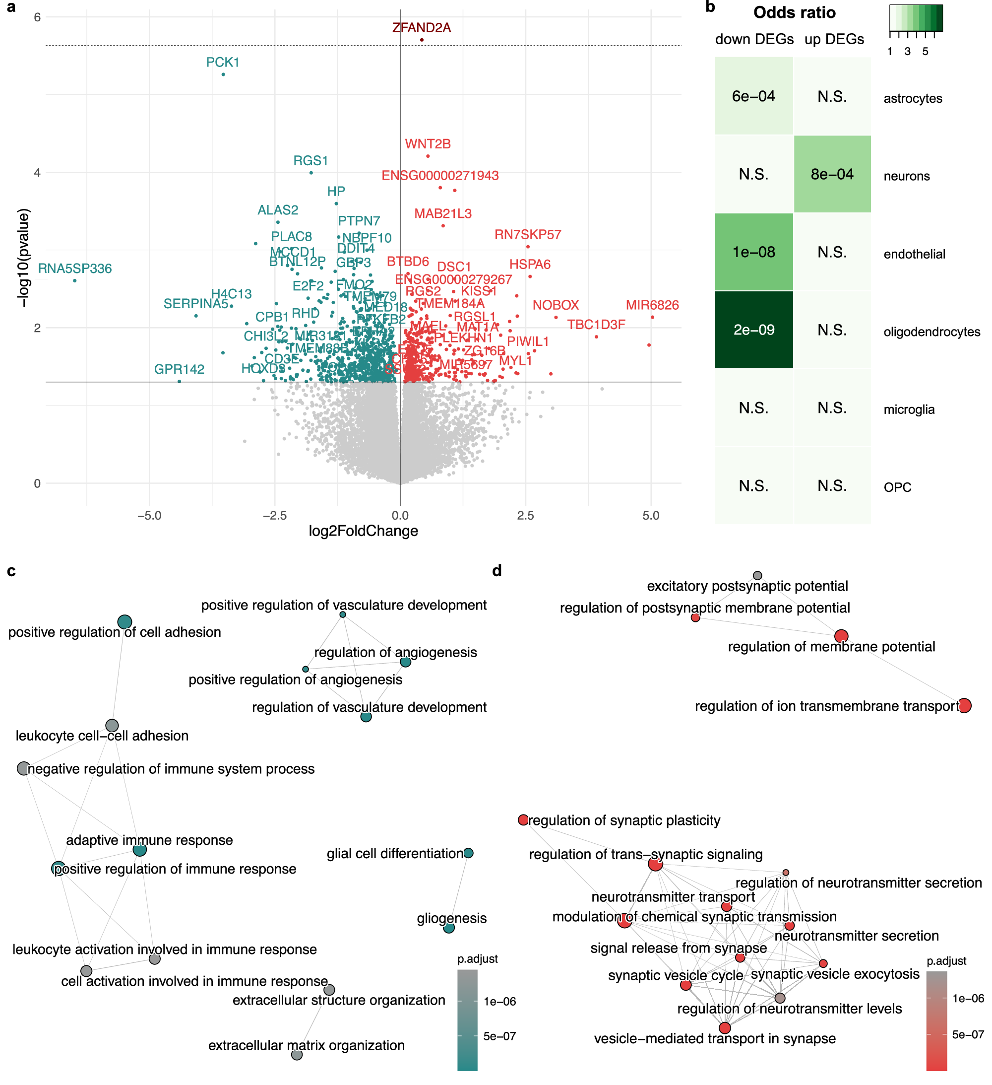 Multi-omics profiling of DNA methylation and gene expression alterations in human cocaine use disorder