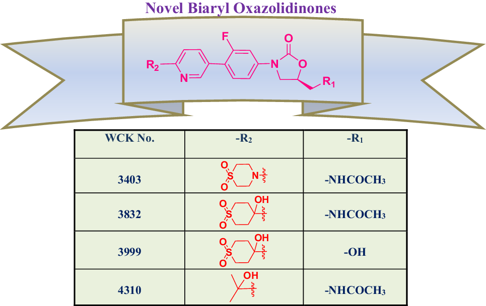 Synthesis and evaluation of novel biaryl oxazolidinones effective against gram-positive bacterial infections