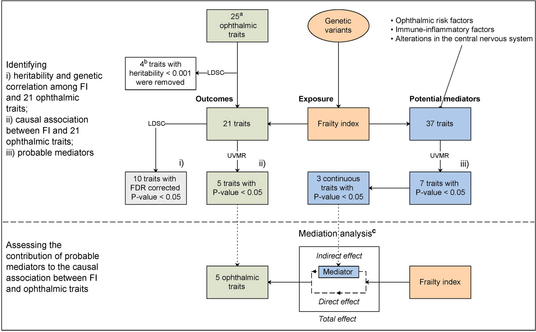 Genetic liability to higher frailty index may increase the risk of ophthalmic disease