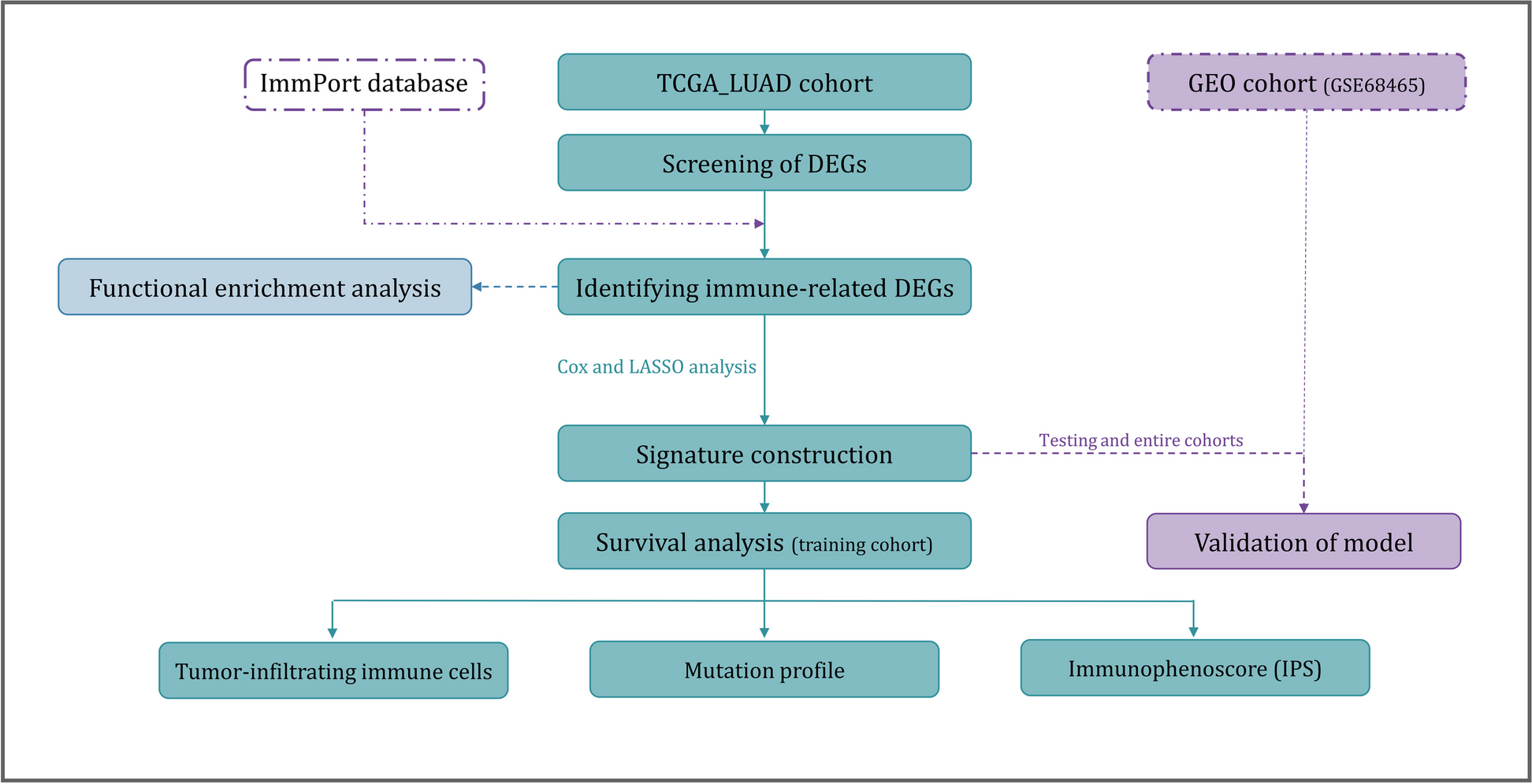 Identification of an immune-related genes signature in lung adenocarcinoma to predict survival and response to immune checkpoint inhibitors