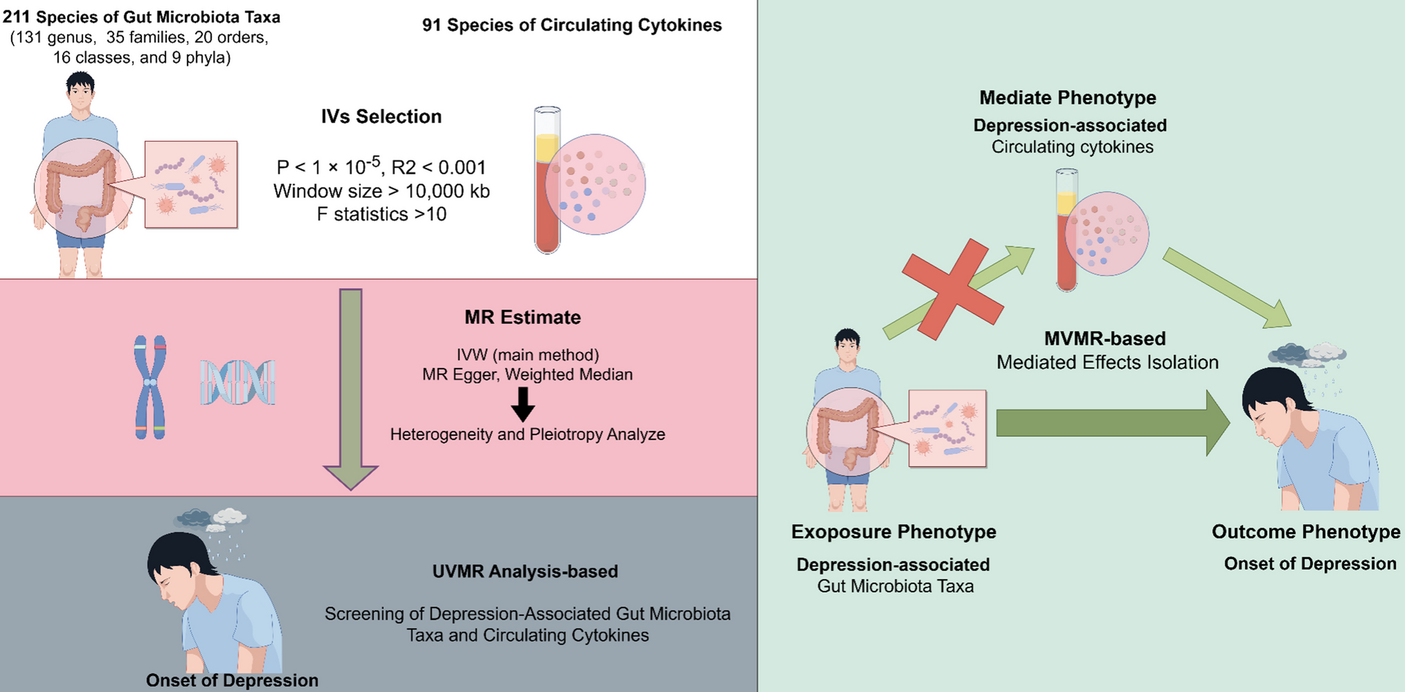 The predictive, preventive, and personalized medicine of depression: gut microbiota and inflammation
