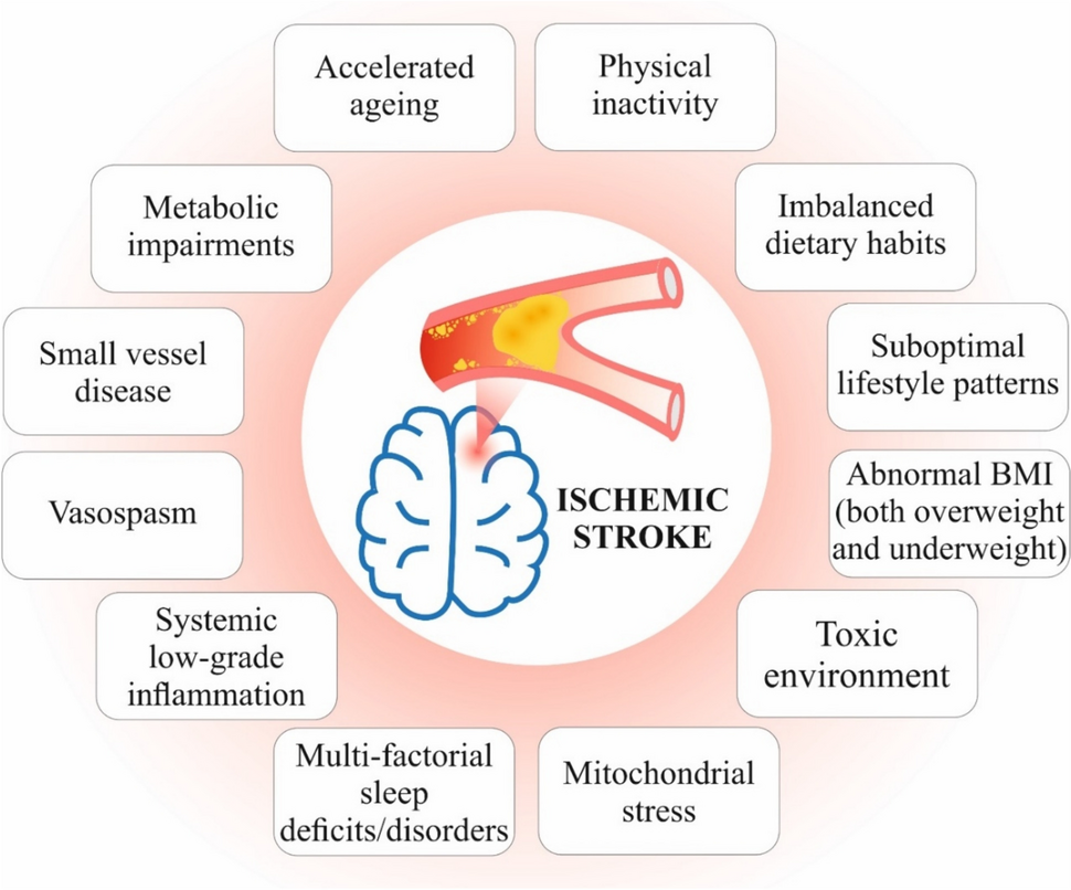 Body fluid multiomics in 3PM-guided ischemic stroke management: health risk assessment, targeted protection against health-to-disease transition, and cost-effective personalized approach are envisaged