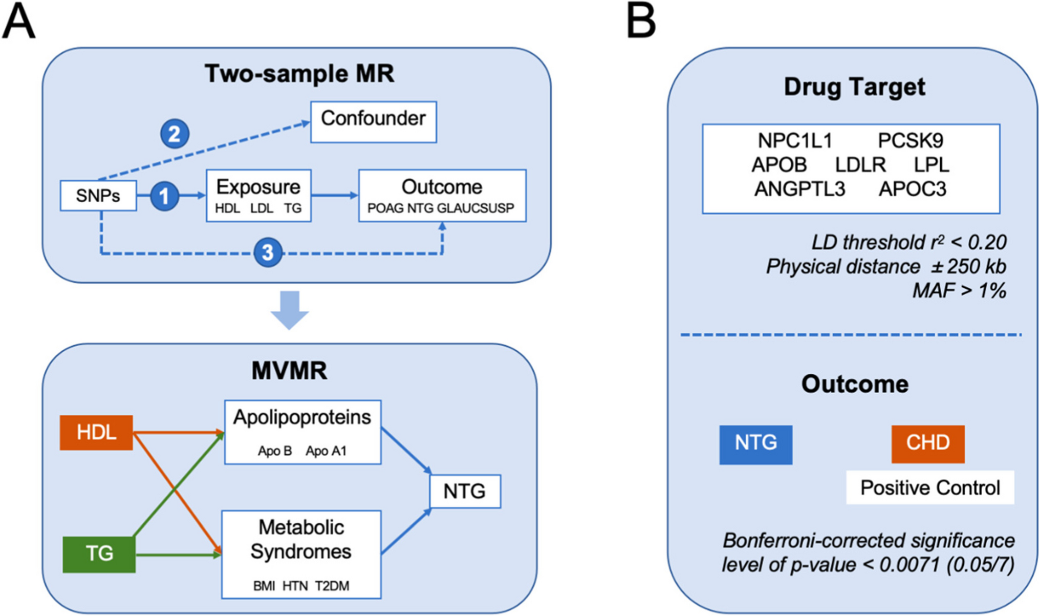 Genetic association of lipid traits and lipid-related drug targets with normal tension glaucoma: a Mendelian randomization study for predictive preventive and personalized medicine