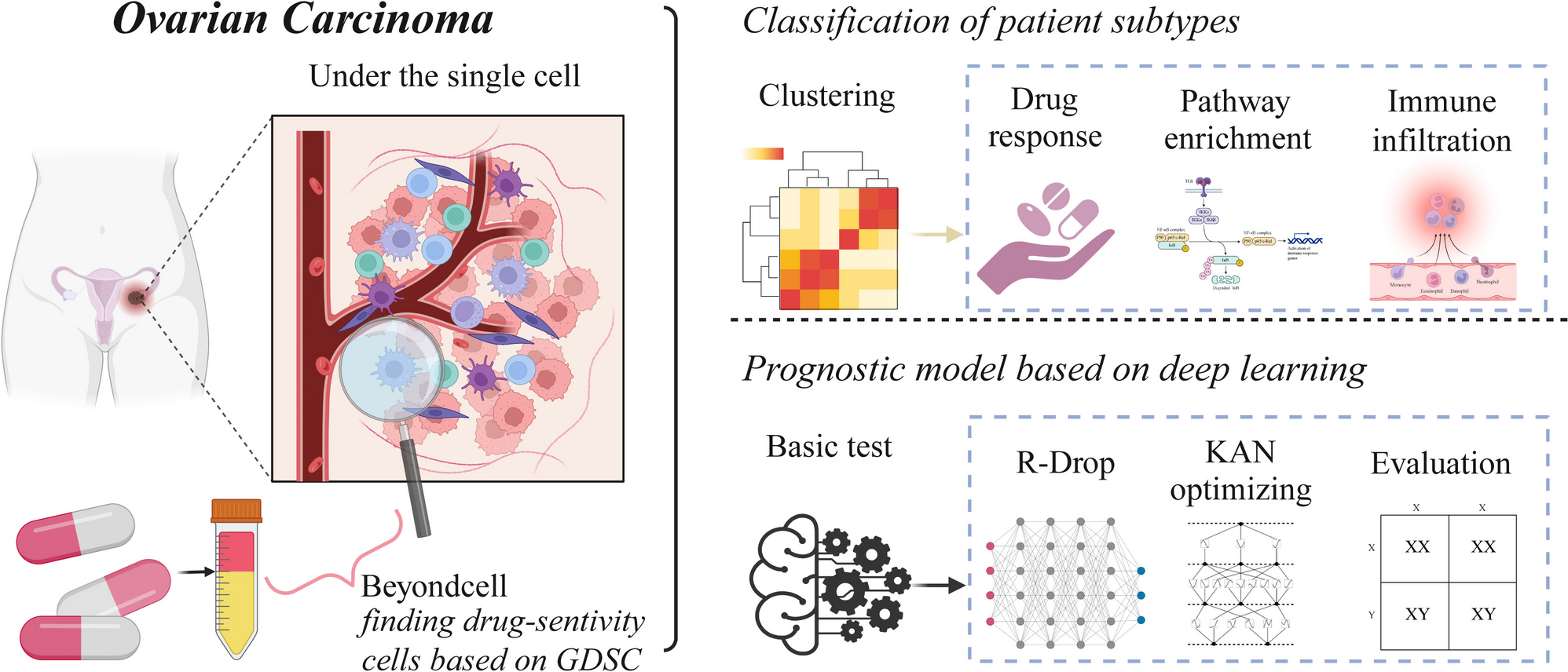 Artificial intelligence in ovarian cancer drug resistance advanced 3PM approach: subtype classification and prognostic modeling
