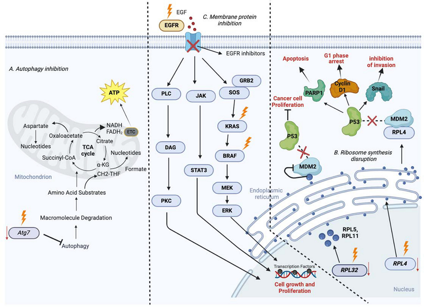 Energy metabolism as the hub of advanced non-small cell lung cancer management: a comprehensive view in the framework of predictive, preventive, and personalized medicine
