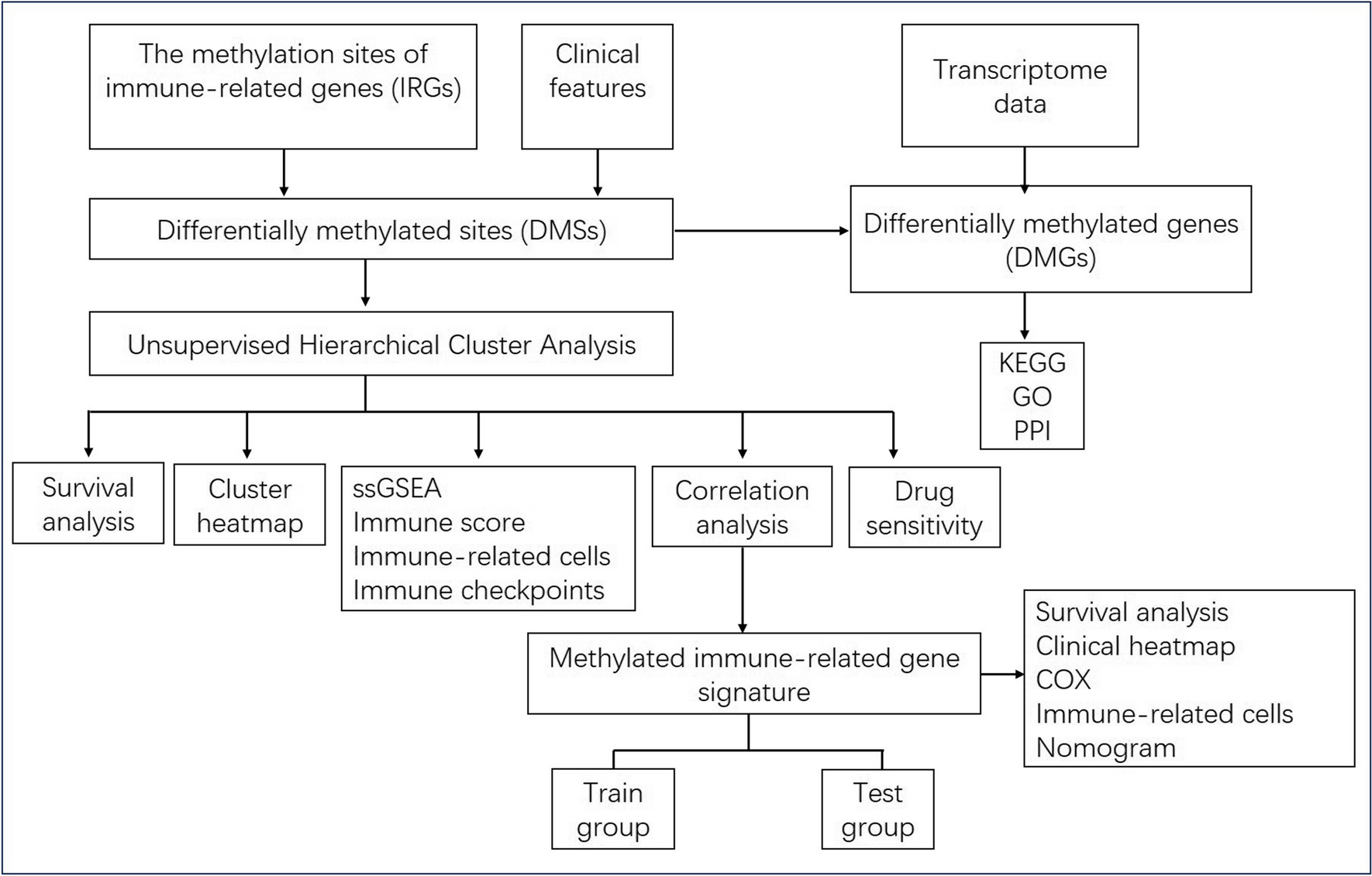 Immune-related gene methylation prognostic instrument for stratification and targeted treatment of ovarian cancer patients toward advanced 3PM approach