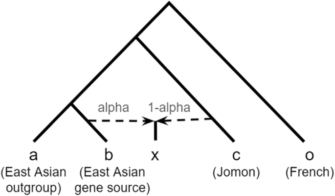 Genetic analysis of a Yayoi individual from the Doigahama site provides insights into the origins of immigrants to the Japanese Archipelago
