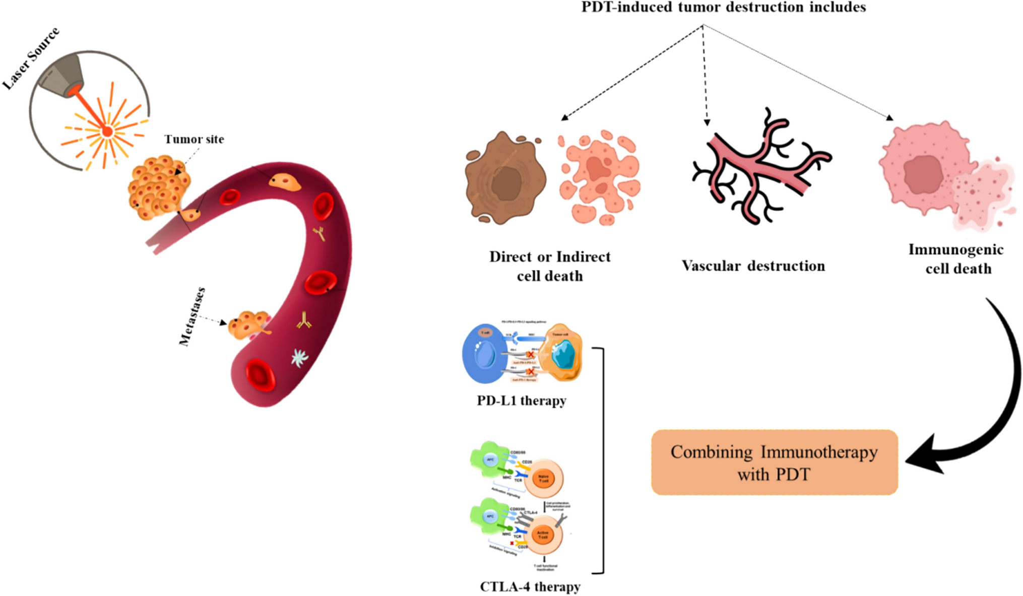 Recent development of nanomaterials-based PDT to improve immunogenic cell death