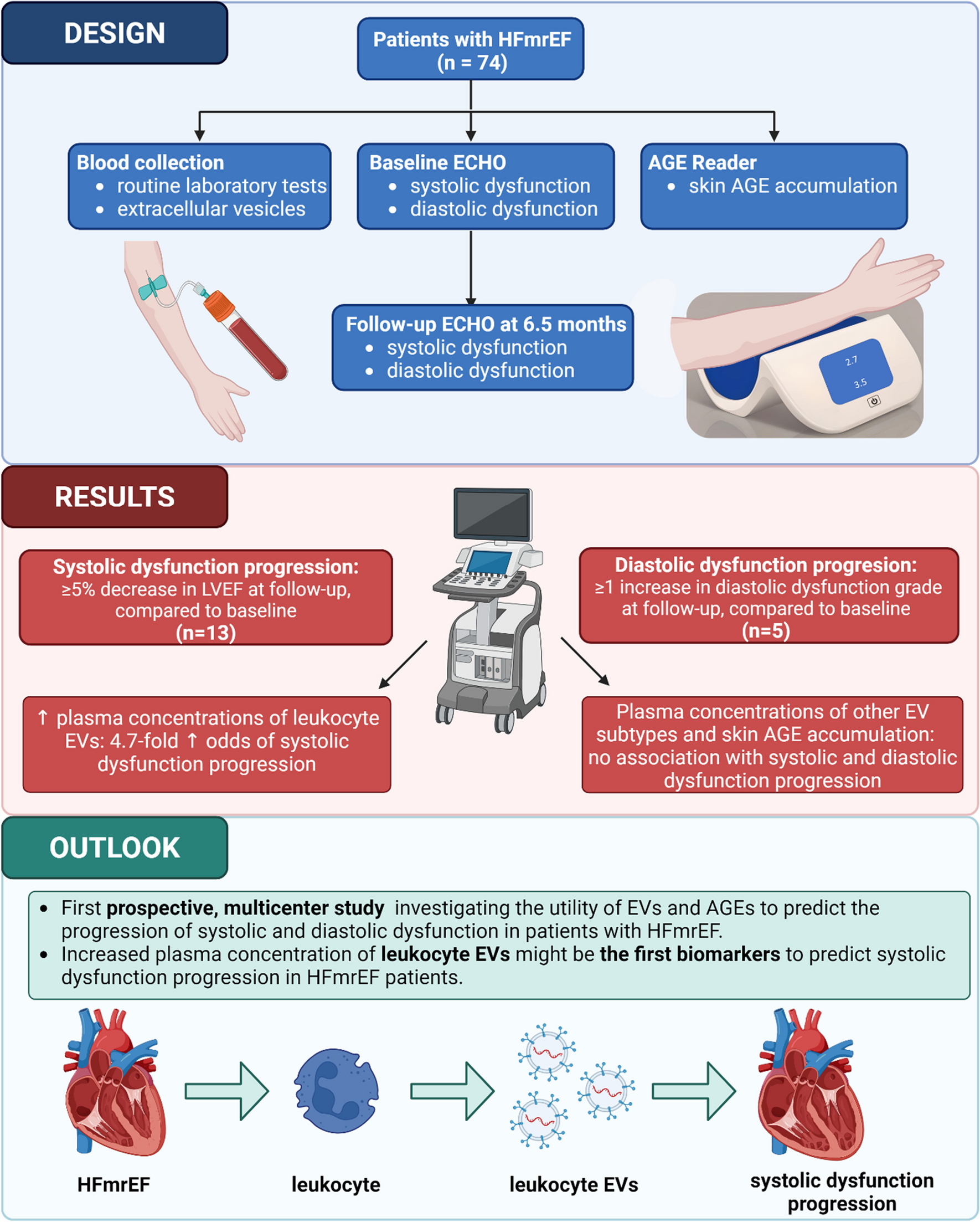 Leukocyte Extracellular Vesicles Predict Progression of Systolic Dysfunction in Heart Failure with Mildly Reduced Ejection Fraction (LYCHEE) – A Prospective, Multicentre Cohort Study