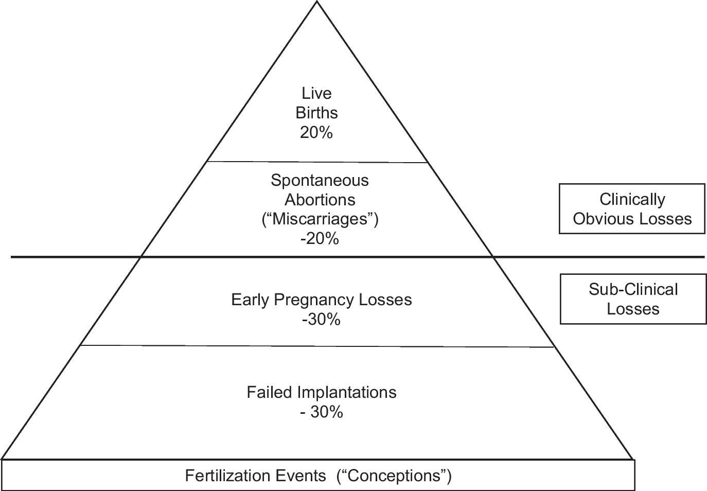 Personhood Begins at Birth: The Rational Foundation for Abortion Policy in a Secular State