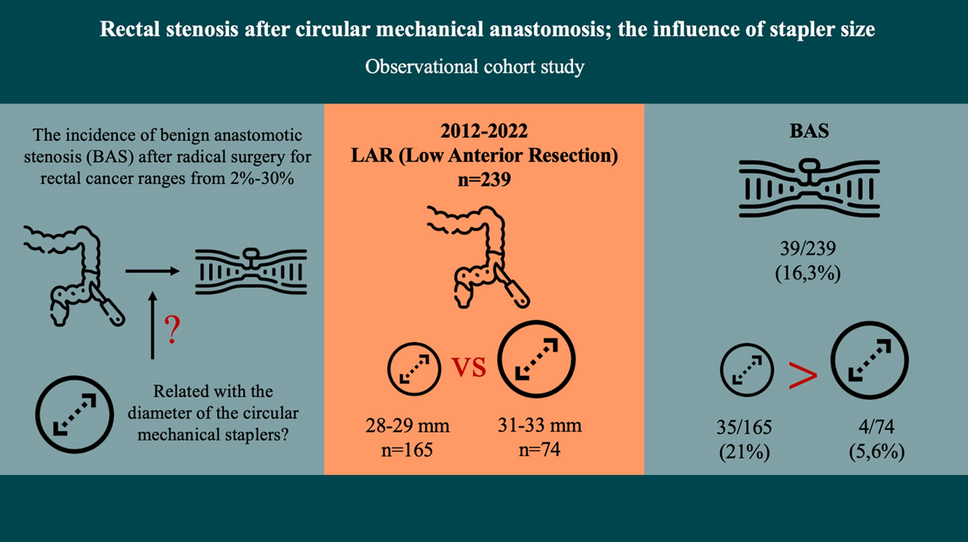 Rectal stenosis after circular mechanical anastomosis; the influence of stapler size