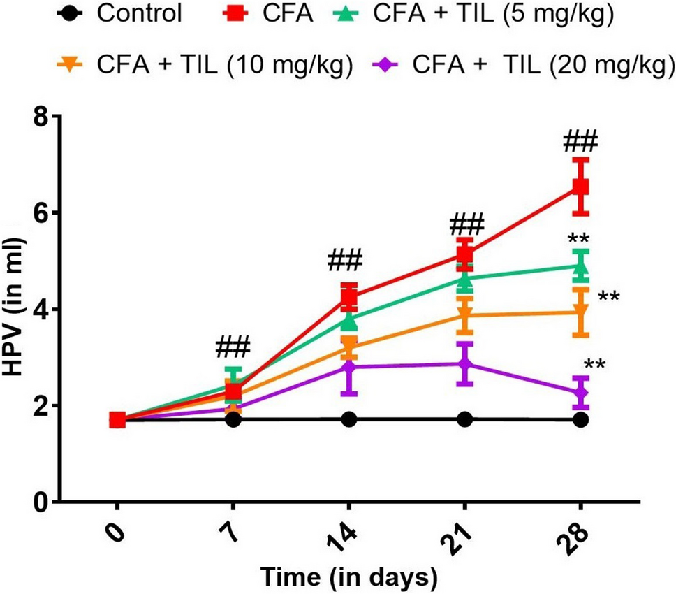 In Vivo Study to Explore the Antiarthritic Potential of Tiliroside on Complete Freund’s Adjuvant-Induced Rheumatoid Arthritis in Rats