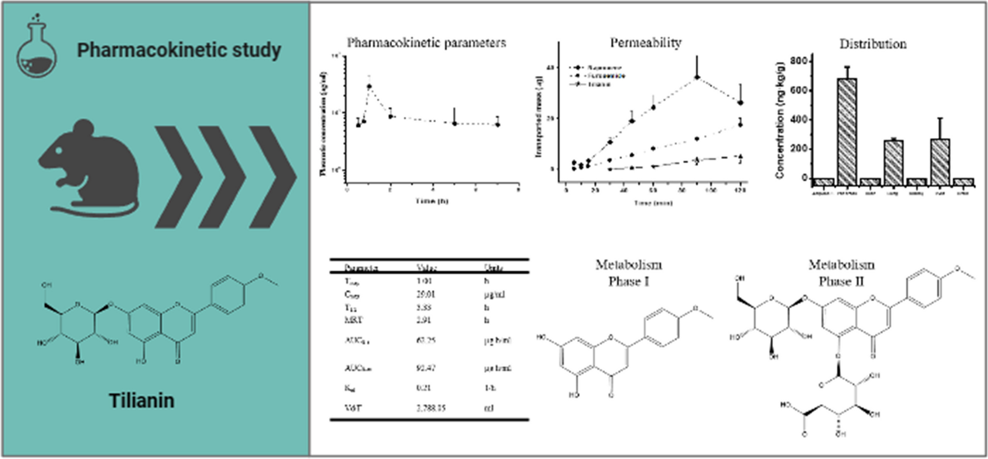 Pharmacokinetic Study of Tilianin After Oral Administration in Wistar Rats by HPLC