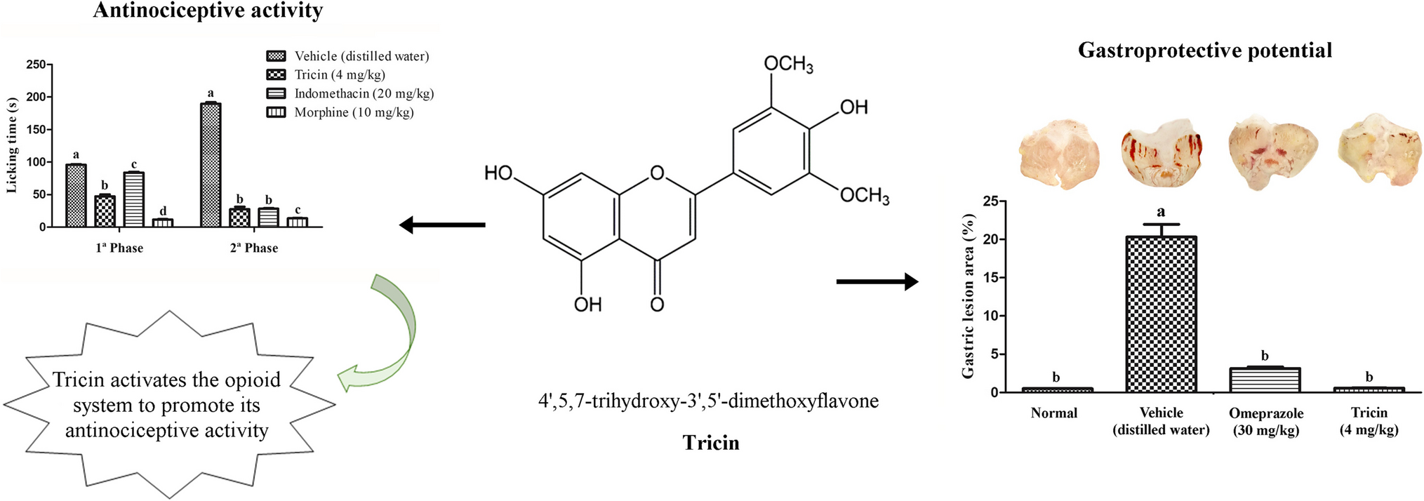 Investigation of the Antinociceptive and Gastroprotective Potential of the Flavonoid Tricin and its Possible Mechanism of Action