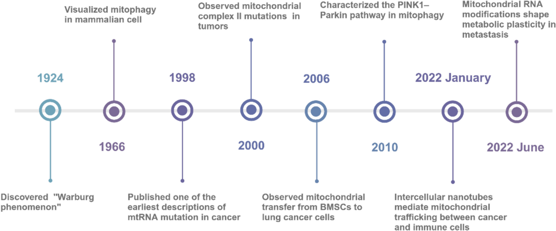 The role of mitochondria in tumor metastasis and advances in mitochondria-targeted cancer therapy