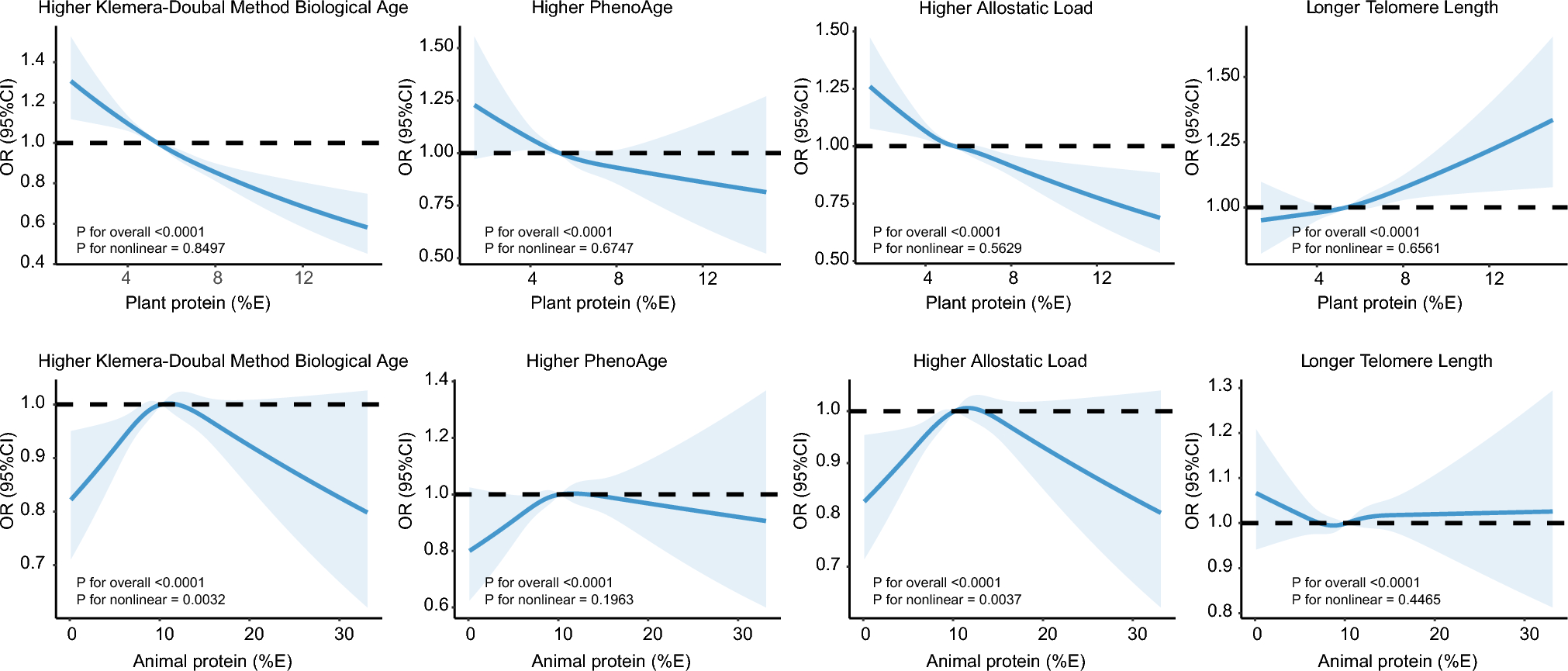 Association between plant and animal protein and biological aging: findings from the UK Biobank