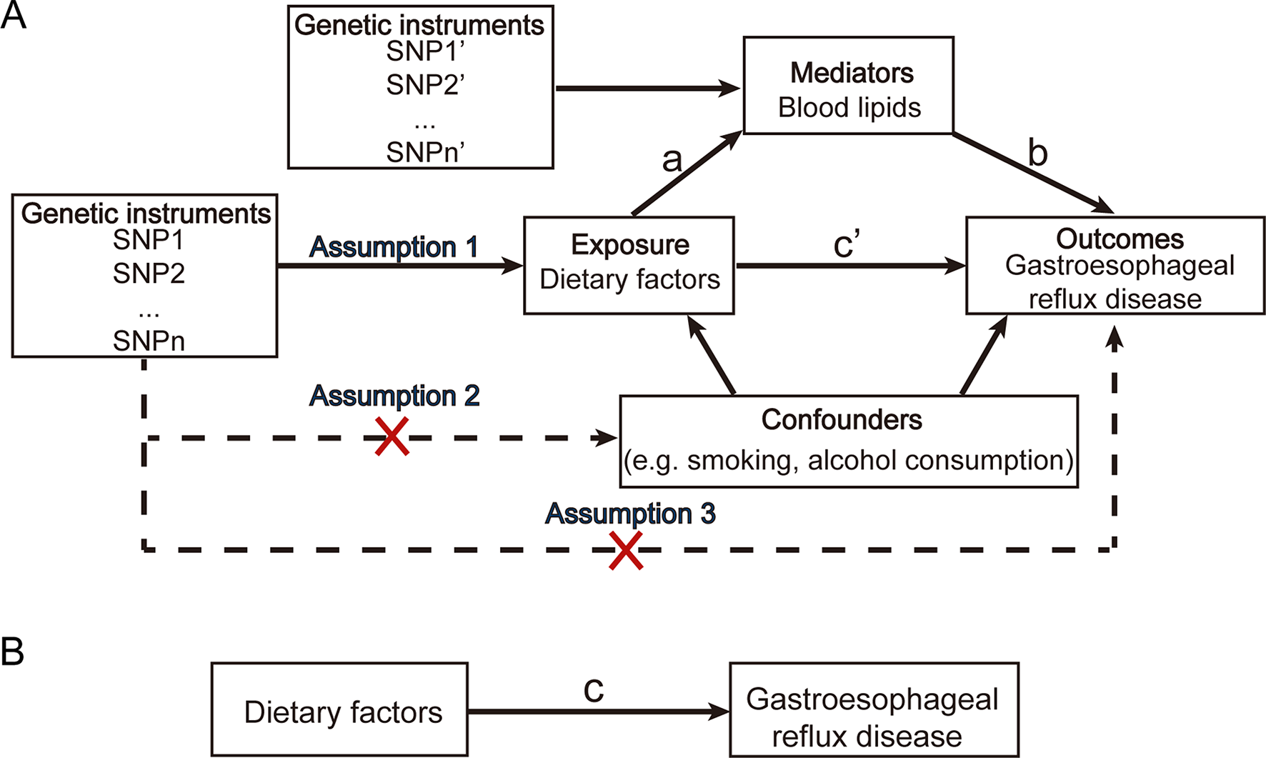 Role of blood lipids in mediating the effect of dietary factors on gastroesophageal reflux disease: a two-step mendelian randomization study