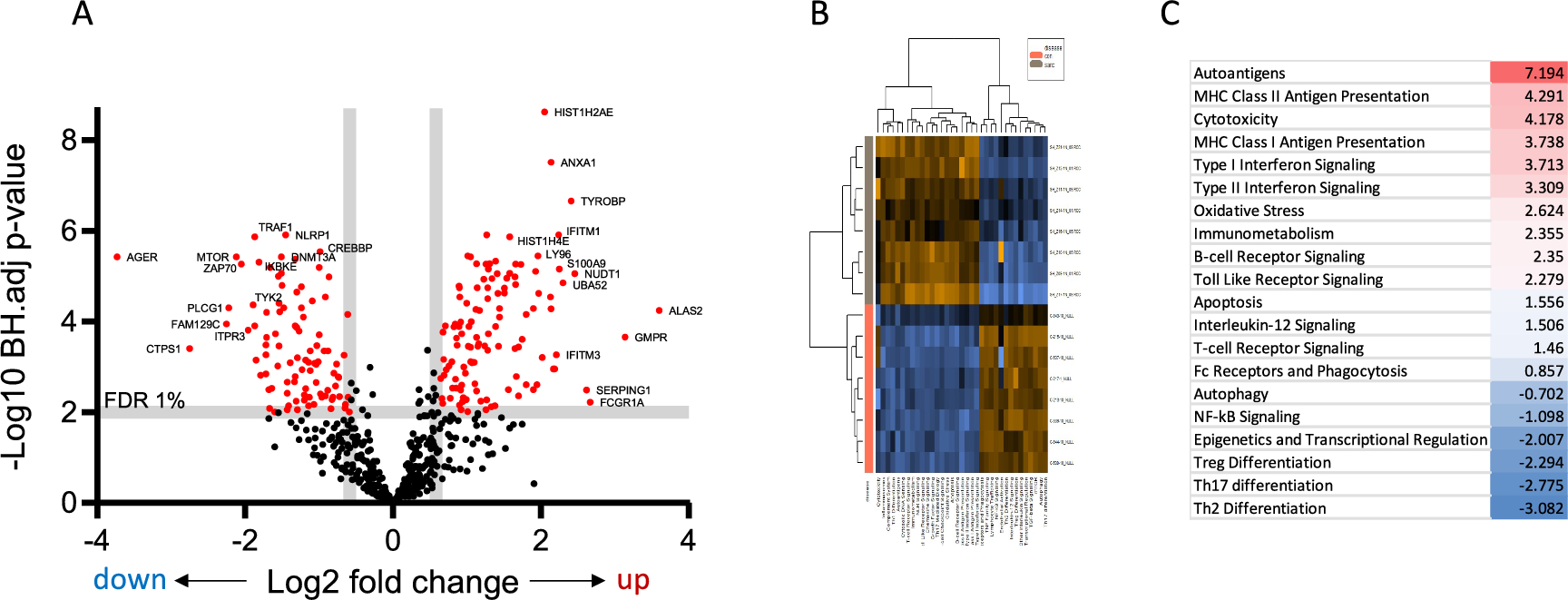 Effects of Azithromycin on Blood Inflammatory Gene Expression and Cytokine Production in Sarcoidosis