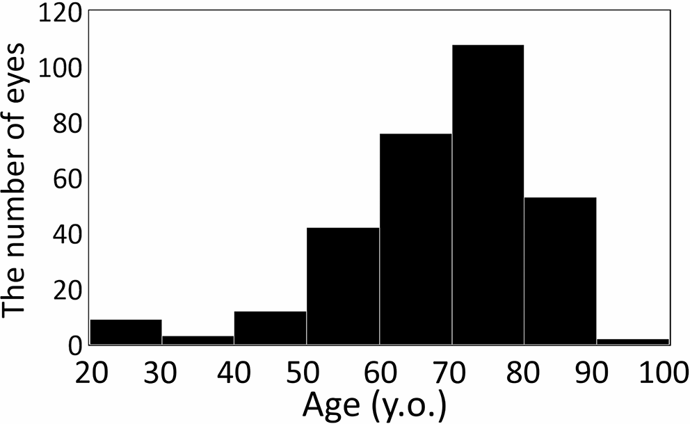 One-year results of trabeculectomy with emphasis on the effect of patients’ age