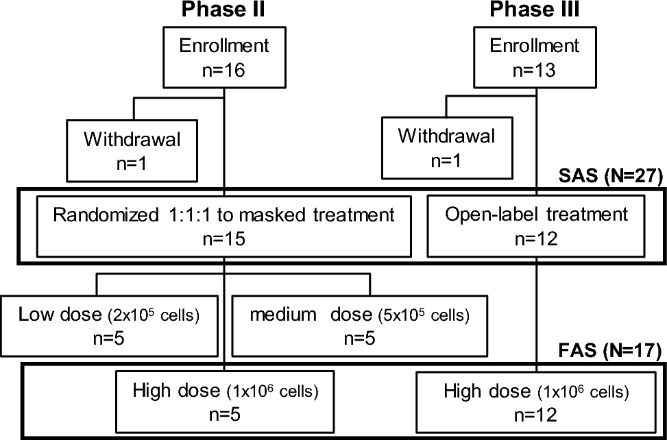 Comprehensive combined analysis of physician-initiated phase II and III clinical trials on a cultured human corneal endothelial cell product for treating bullous keratopathy