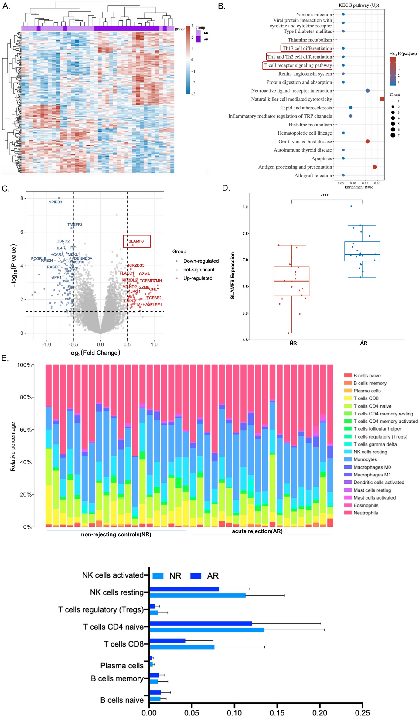 Endometrial regeneration cell-derived exosomes loaded with siSLAMF6 inhibit cardiac allograft rejection through the suppression of desialylation modification