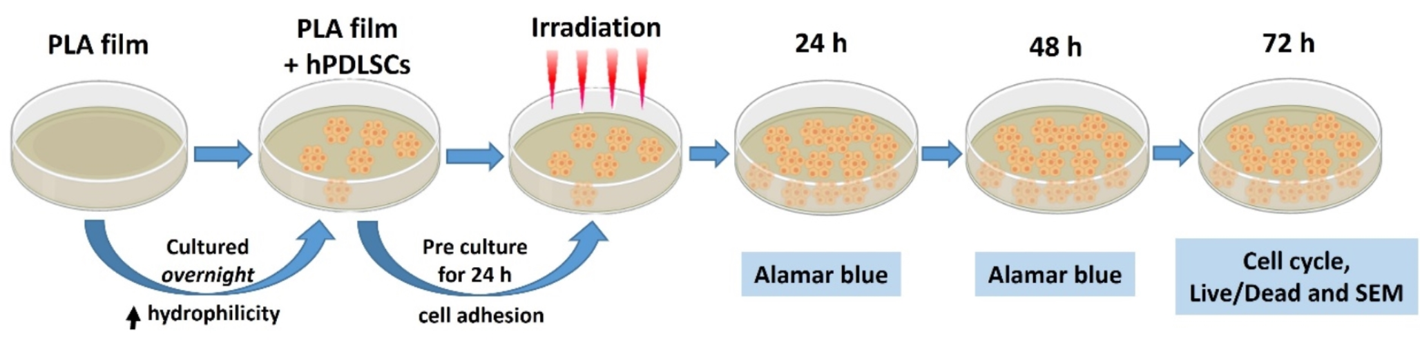 The proliferation and viability of human periodontal ligament stem cells cultured on polymeric scaffolds can be improved by low-level laser irradiation
