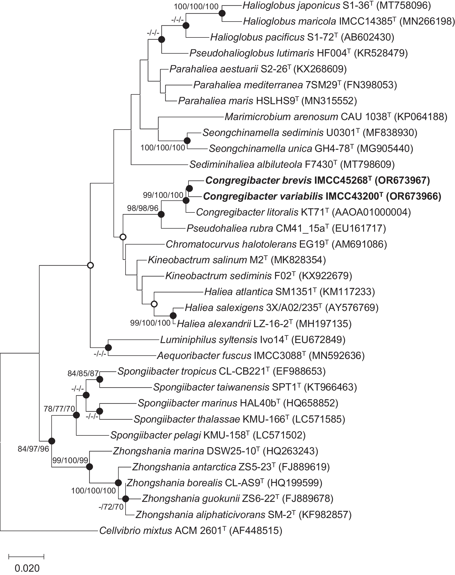 Congregibacter variabilis sp. nov. and Congregibacter brevis sp. nov. Within the OM60/NOR5 Clade, Isolated from Seawater, and Emended Description of the Genus Congregibacter