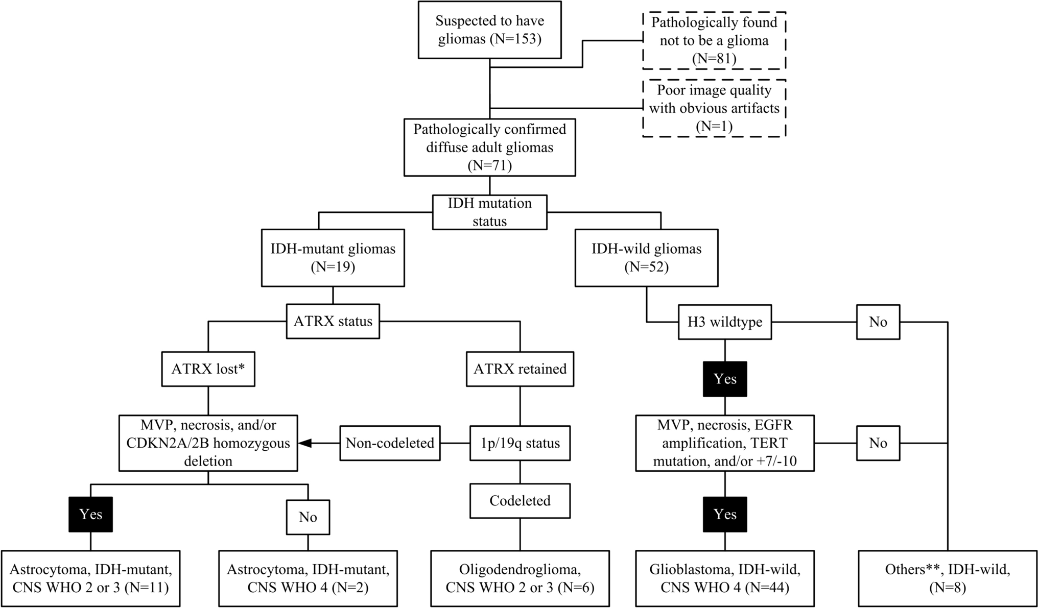 Quantifying H&E staining results, grading and predicting IDH mutation status of gliomas using hybrid multi-dimensional MRI