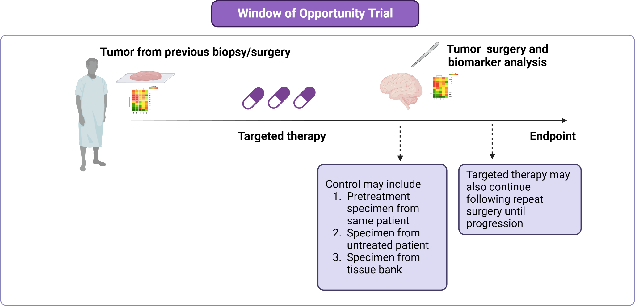 Clinical trial design for novel targeted agents in neuro-oncology