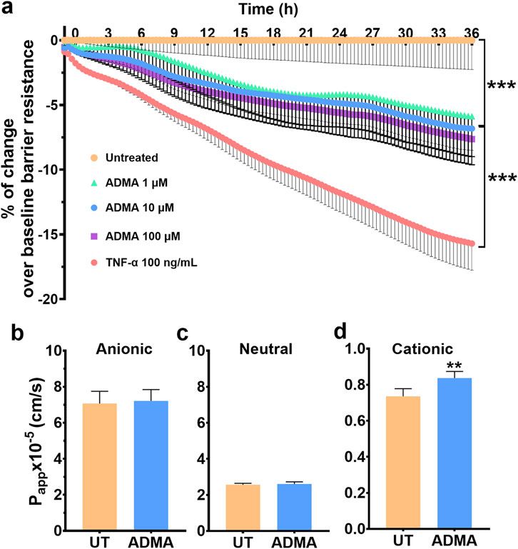 Asymmetric dimethylarginine induces maladaptive function of the blood-brain barrier