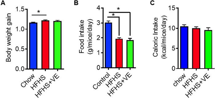 Vitamin E supplementation prevents obesogenic diet-induced developmental abnormalities in SR-B1 deficient embryos