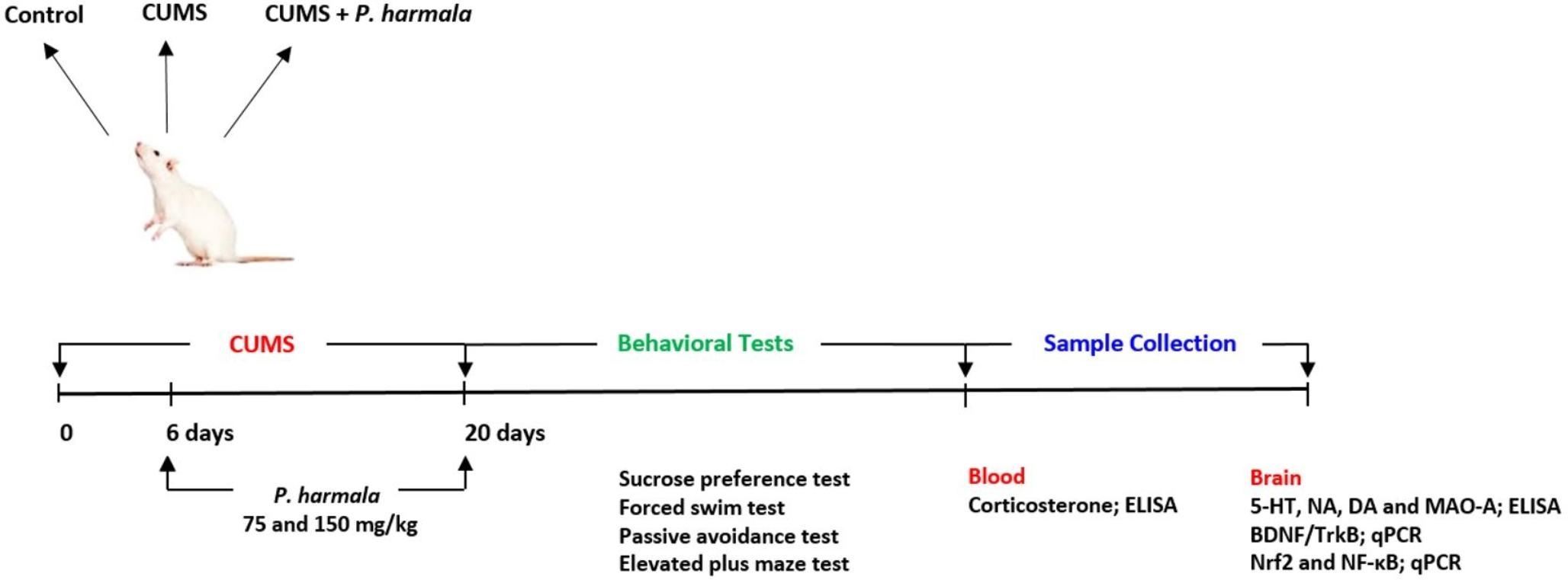 Peganum harmala L. seed extract attenuates anxiety and depression in rats by reducing neuroinflammation and restoring the BDNF/TrkB signaling pathway and monoamines after exposure to chronic unpredictable mild stress