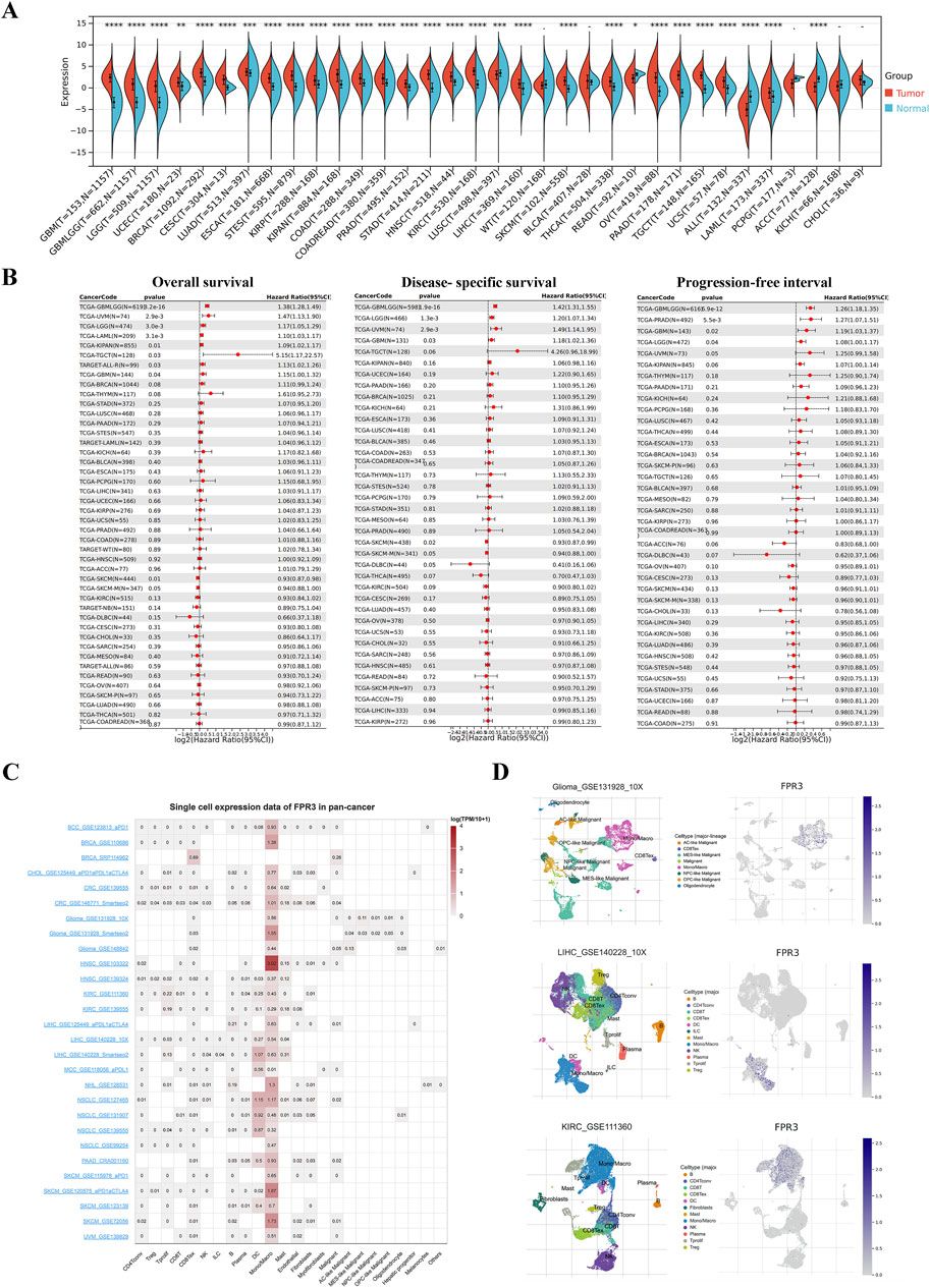 Pan-cancer analysis and experimental validation of FPR3 as a prognostic and immune infiltration-related biomarker for glioma