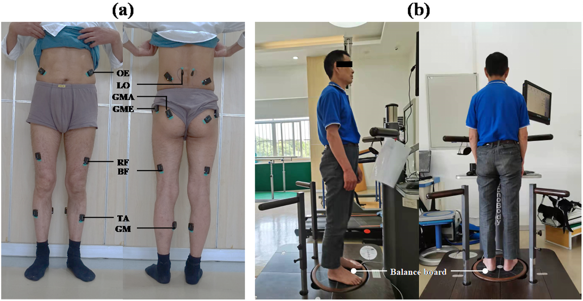 Dynamical network-based evaluation for neuromuscular dysfunction in stroke-induced hemiplegia during standing