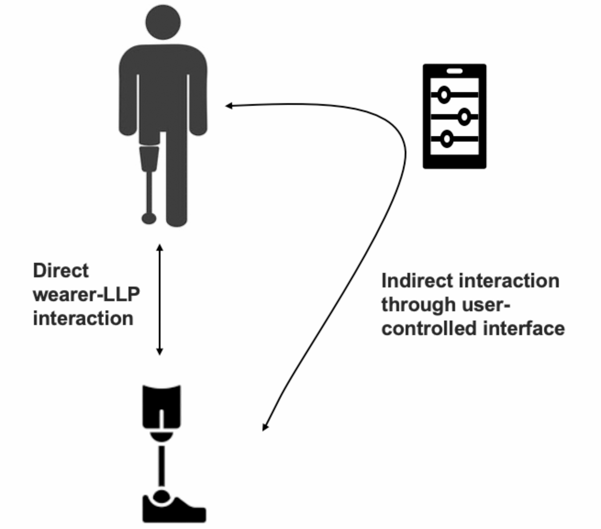 Human factors considerations of Interaction between wearers and intelligent lower-limb prostheses: a prospective discussion