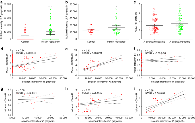 Gingipain from Porphyromonas gingivalis causes insulin resistance by degrading insulin receptors through direct proteolytic effects