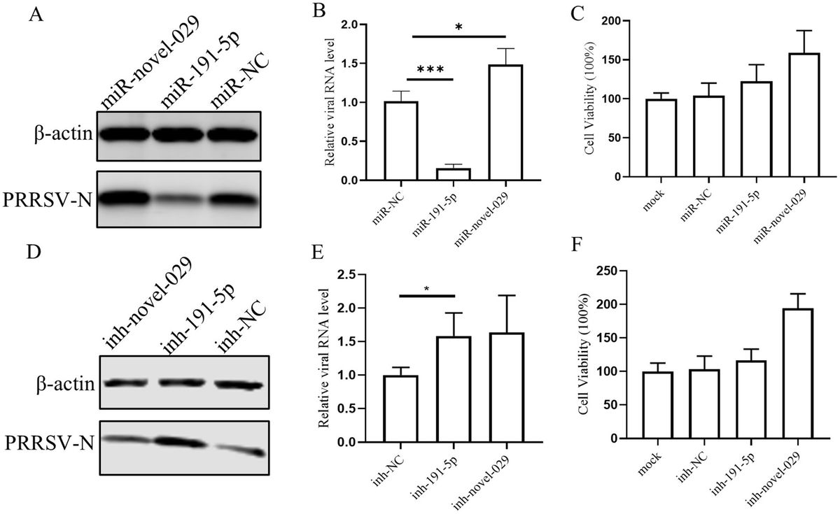 miR-191-5p suppresses PRRSV replication by targeting porcine EGFR to enhance interferon signaling