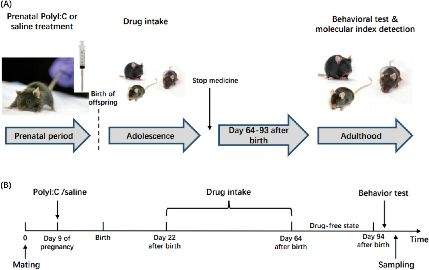 Glia dysfunction in schizophrenia: evidence of possible therapeutic effects of nervonic acid in a preclinical model