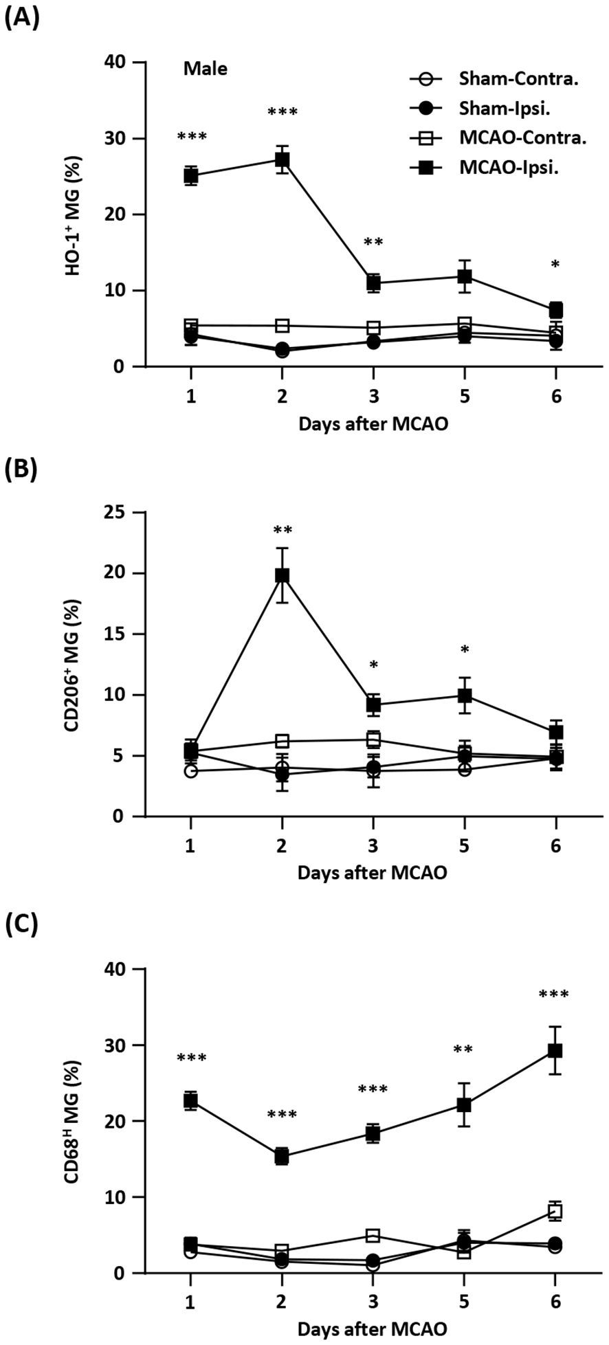 Ischemia-induced endogenous Nrf2/HO-1 axis activation modulates microglial polarization and restrains ischemic brain injury