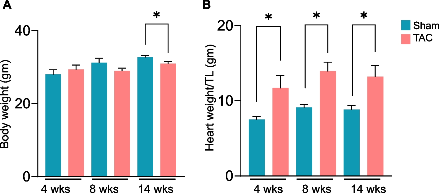 Metabolic pathways for removing reactive aldehydes are diminished in the skeletal muscle during heart failure